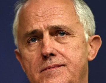 malcolm turnbull