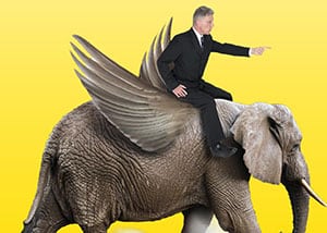 Business man on elephant