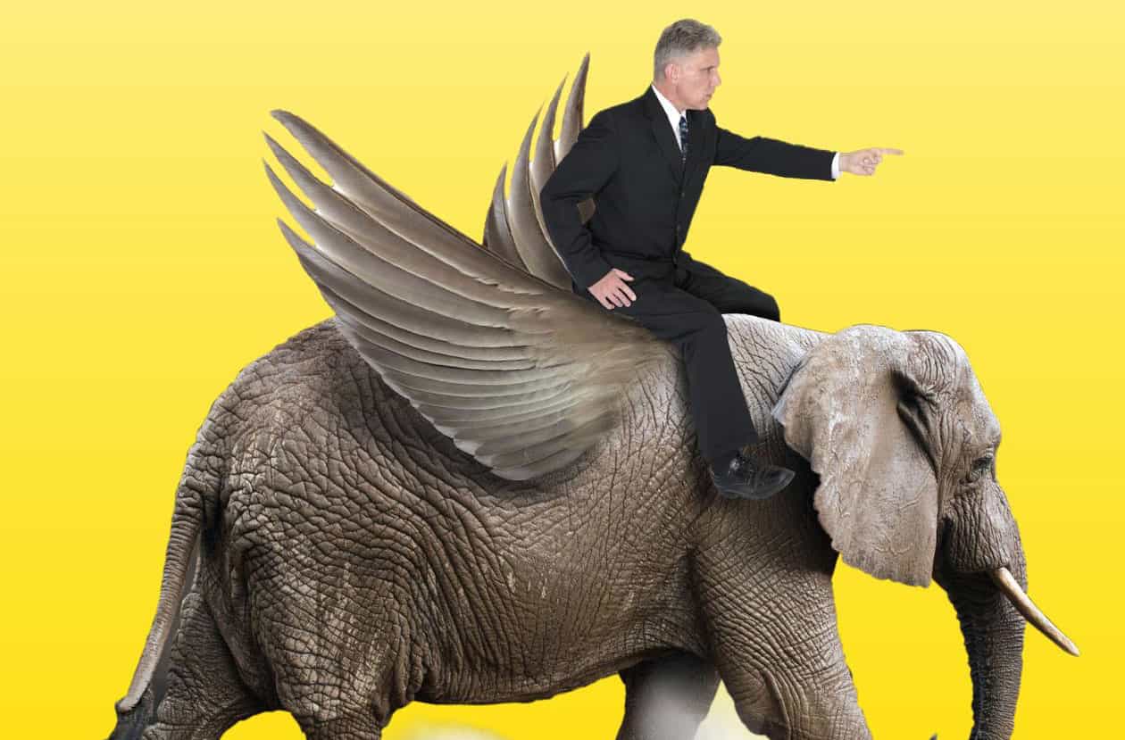 business man on elephant