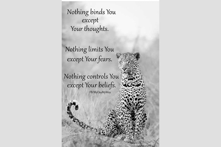Leopard with quote