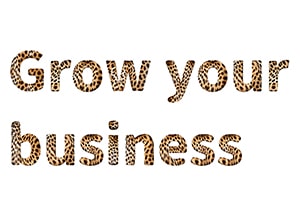 Grow your business