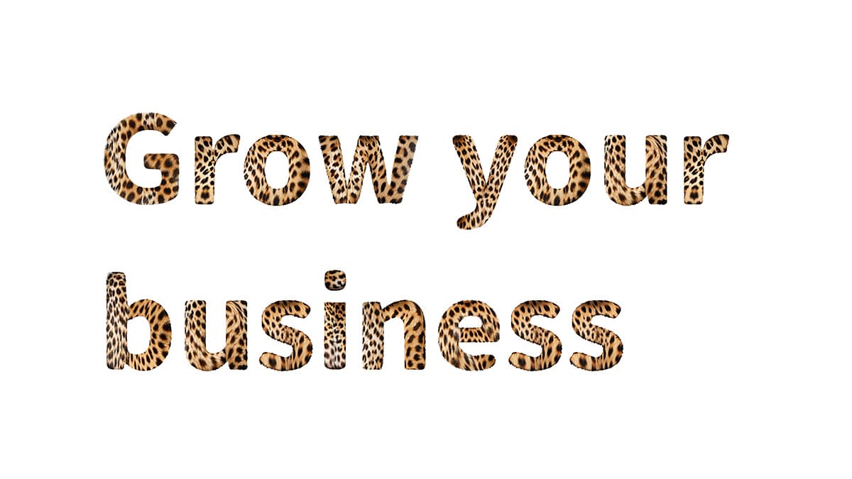 Grow your business