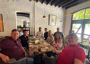 Christmas lions and tigers